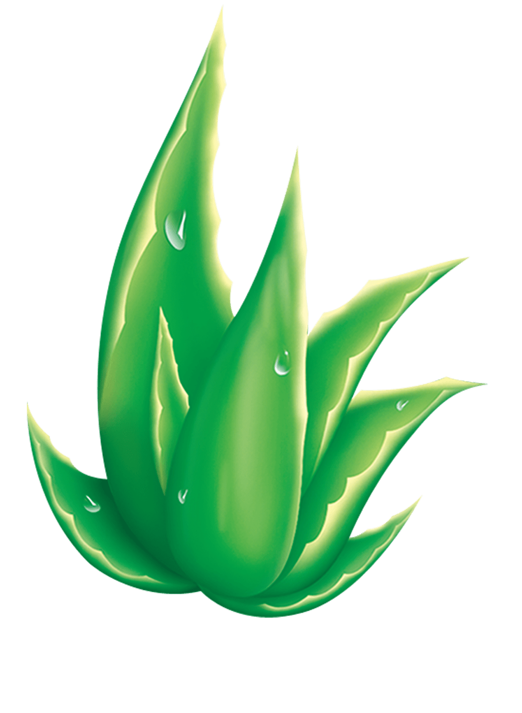 logo aloeverasell